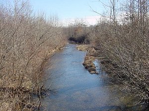 United Country - Terry Realty www.tennesseeland.com vacant land 19030 creek