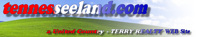 tennesseeland logo