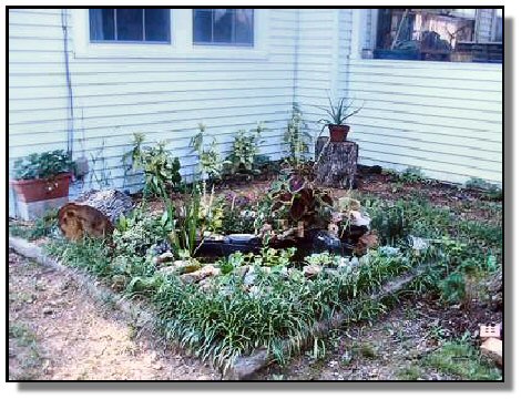 Tennessee Real Estate - Residential Property - 1653 - water feature