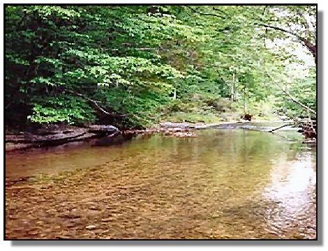 Tennessee Real Estate - creek - Vacant Land - 1673