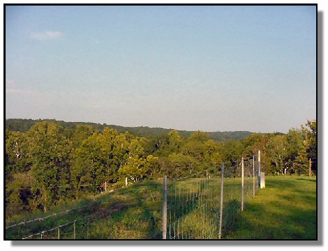 Tennessee Residential Property - 1640 - straight ahead view