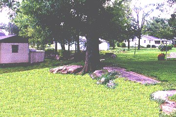 Rear yard - garden area - Loading..