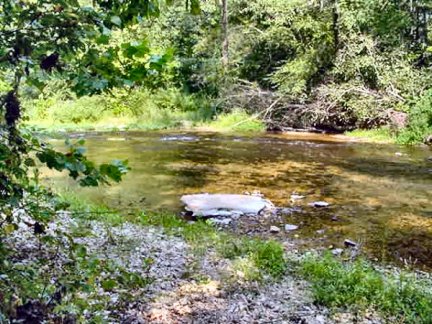 Tennessee Vacant Land - Green River, another view - 1584