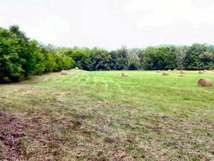 Tennessee Vacant Land - field along the river - 1584
