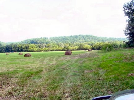 Tennessee Vacant Land - another field - 1584