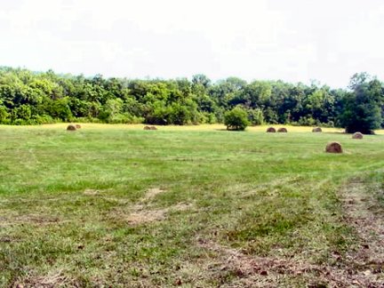 Tennessee Vacant Land - land adjacent to Green River - 1584