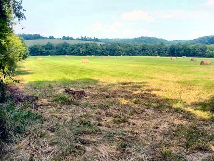 Tennessee Vacant Land - Lower field along the river boundry - 1584