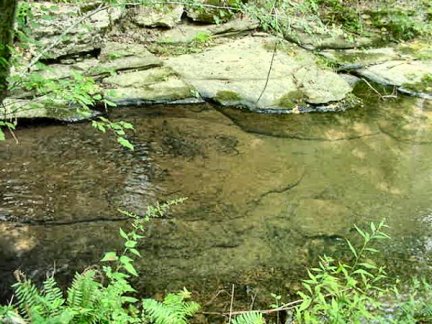 Tennessee Vacant Land - Northern creek boundry - 1584