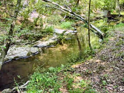 Tennessee Vacant Land - More northern creek boundry - 1584