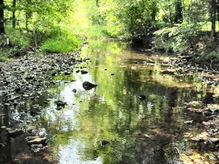 Tennessee Vacant Land - Looking upstream on the northern creek boundry - 1584