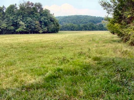 Tennessee Vacant Land - Field bound by the creek & the River - 1584