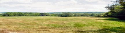 Tennessee Vacant Land - Upper field from entrance - 1584