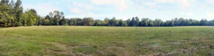 Tennessee Vacant Land - Upper field-panoramic view - 1584