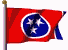 Tennessee Real Estate - Tennessee Flag - 1584