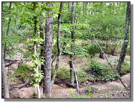 Tennessee Farm Property - 1616 - creek 3