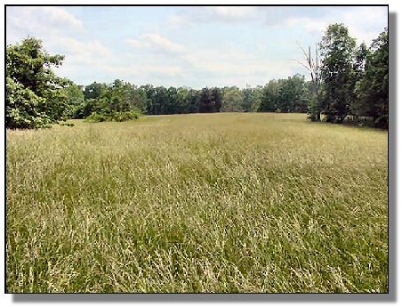 Tennessee Farm Property - 1616 - field 2