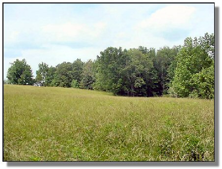 Tennessee Farm Property - 1616 - field 4