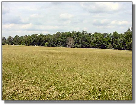 Tennessee Farm Property - 1616 - field 5