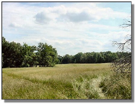 Tennessee Farm Property - 1616 - field 6