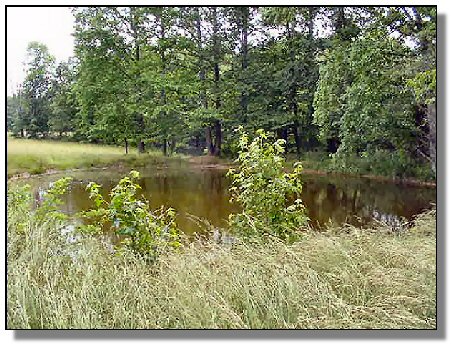 Tennessee Farm Property - 1616 - pond