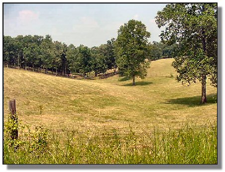 Tennessee Real Estate - Farmette Property - 1582 - rolling fields-1