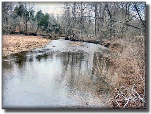 Tennessee Real Estate - Farmette Property - 1593 - Creek Looking Downstream