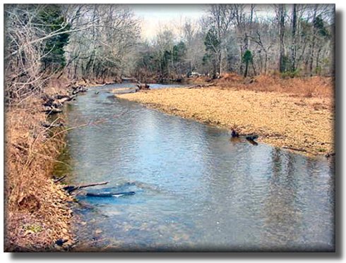 Tennessee Real Estate - Farmette Property - 1593 - Creek Looking upstream