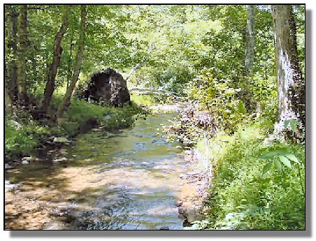 Tennessee Real Estate - Farmette Property - 1627 - Creek 1