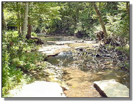 Tennessee Real Estate - Farmette Property - 1627 - Creek 2
