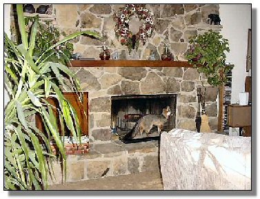Tennessee Real Estate - Farmette Property - 1628 - Living room fireplace - 1
