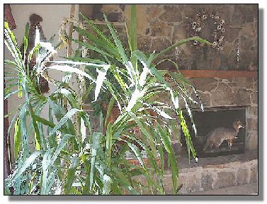 Tennessee Real Estate - Farmette Property - 1628 - Living room fireplace - 2