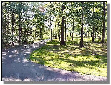 Tennessee Real Estate - Farmette Property - 1628 - Lawn and driveway