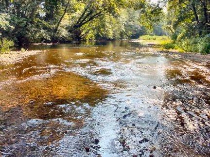 Tennessee Vacant Land - Green River - 1584