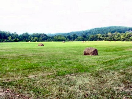 Tennessee Vacant Land - back side of river front land - 1584