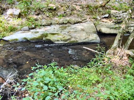 Tennessee Vacant Land - Creek boundry to the north - 1584