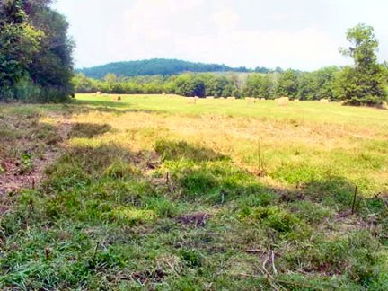 Tennessee Vacant Land - Korthern field with Green River & a creek boundry - 1584